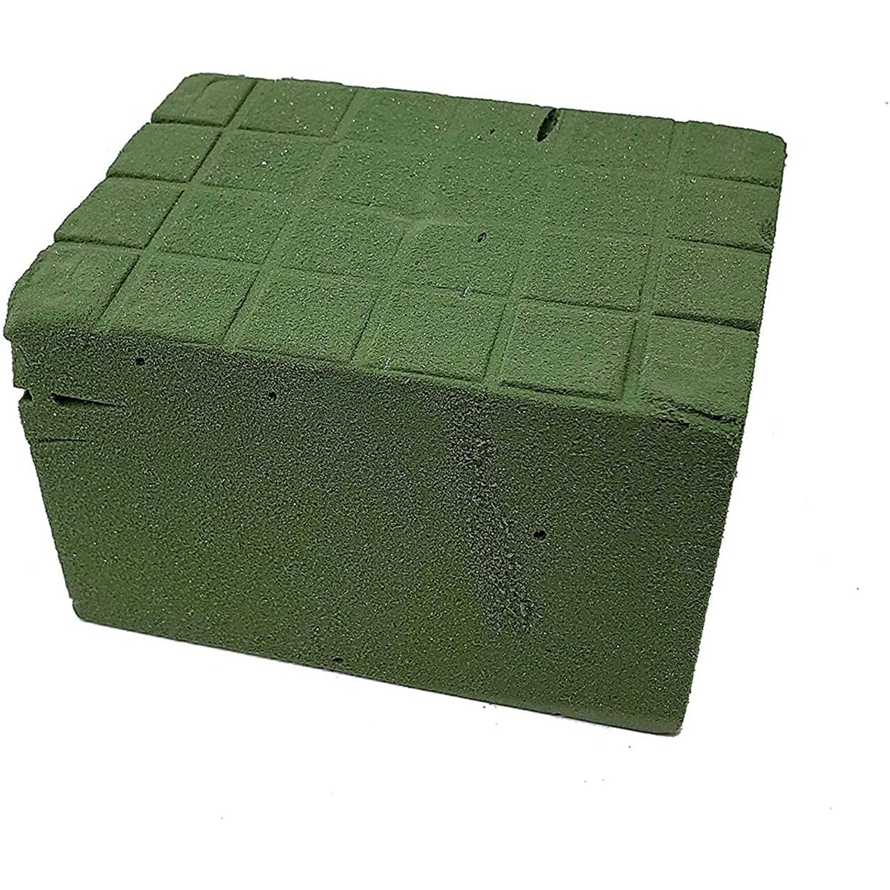 Wet Floral Foam Brick with Tray 1 pack